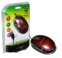 mouse
